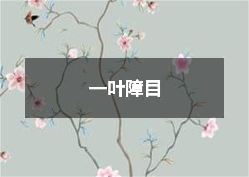 一叶障目