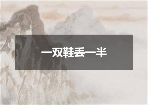 一双鞋丢一半