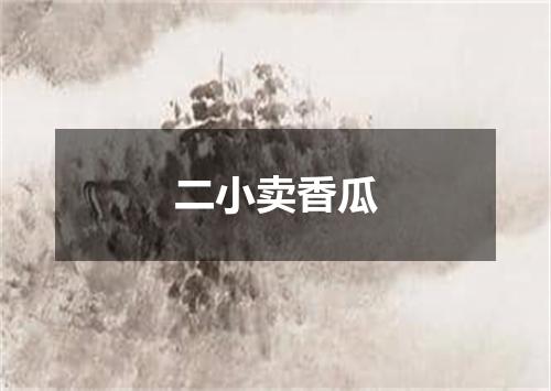二小卖香瓜