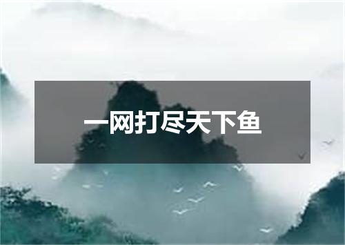 一网打尽天下鱼
