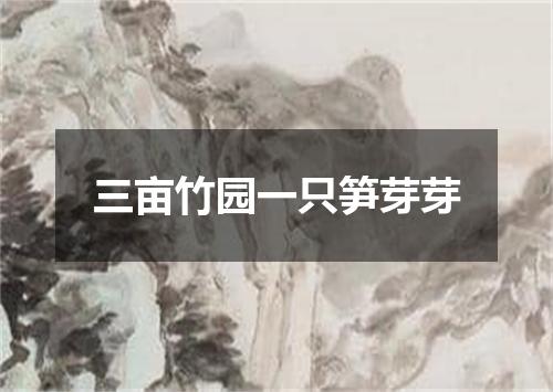 三亩竹园一只笋芽芽