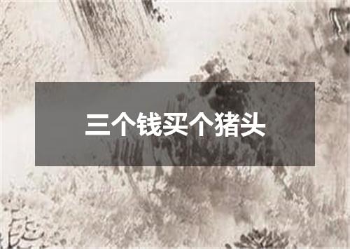 三个钱买个猪头