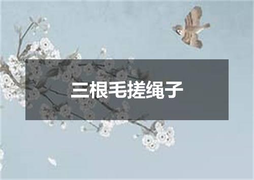 三根毛搓绳子