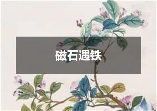 磁石遇铁