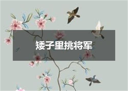 矮子里挑将军