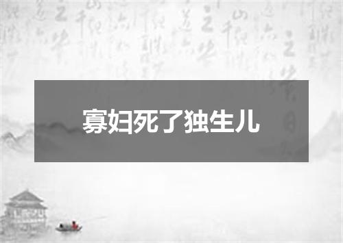 寡妇死了独生儿