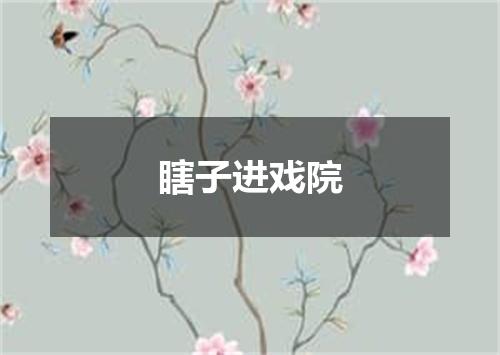 瞎子进戏院