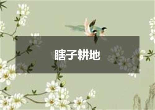 瞎子耕地
