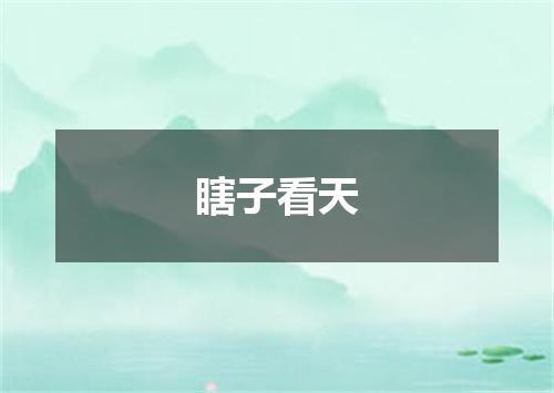 瞎子看天