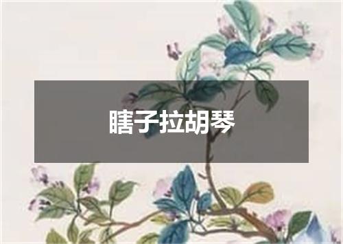 瞎子拉胡琴