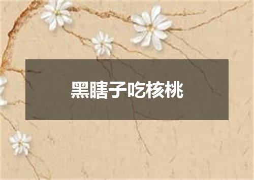 黑瞎子吃核桃