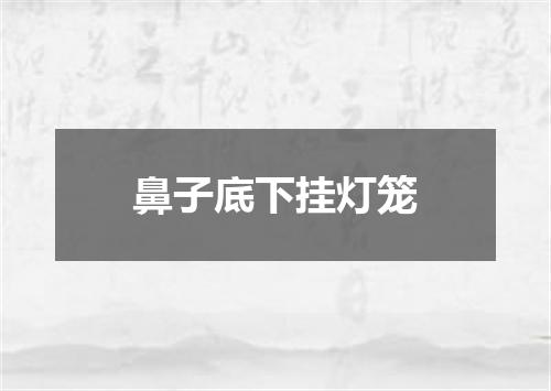 鼻子底下挂灯笼