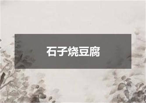 石子烧豆腐