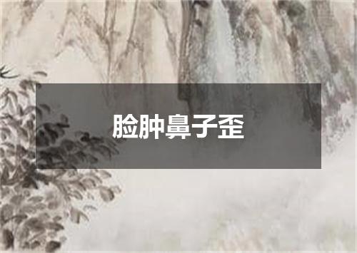 脸肿鼻子歪