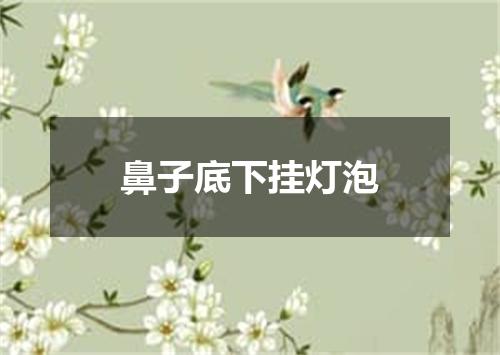 鼻子底下挂灯泡