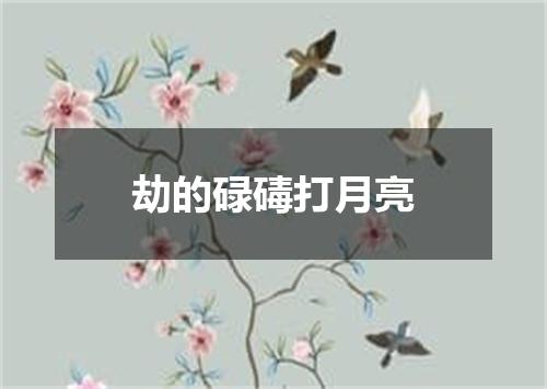 劫的碌碡打月亮