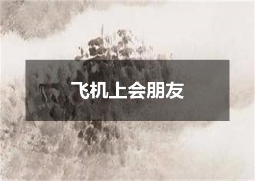 飞机上会朋友
