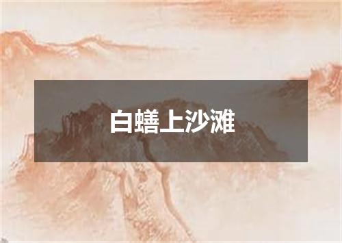 白蟮上沙滩