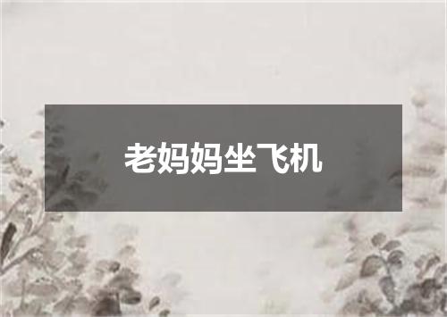 老妈妈坐飞机