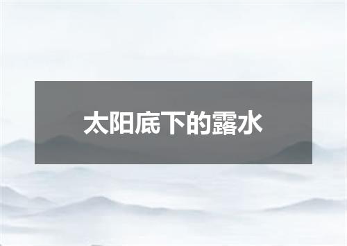 太阳底下的露水