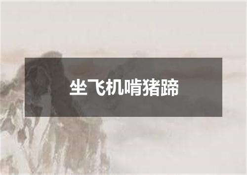 坐飞机啃猪蹄