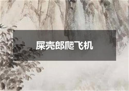 屎壳郎爬飞机