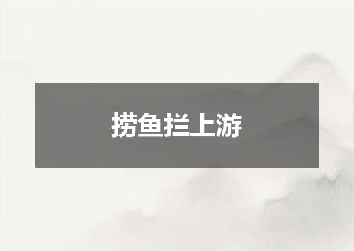 捞鱼拦上游
