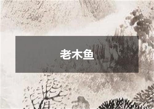 老木鱼