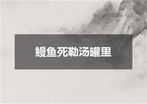 鳗鱼死勒汤罐里