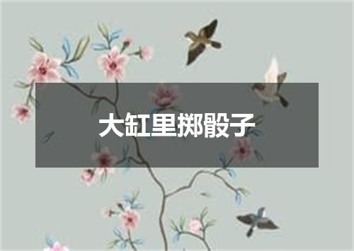 大缸里掷骰子