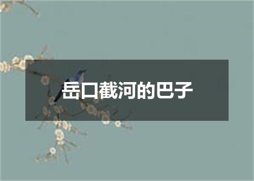 岳口截河的巴子