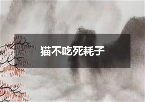 猫不吃死耗子