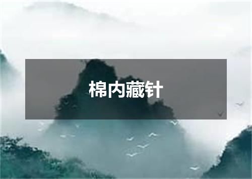 棉内藏针