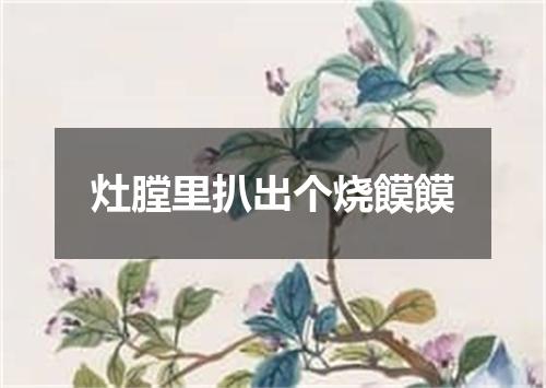 灶膛里扒出个烧饃饃