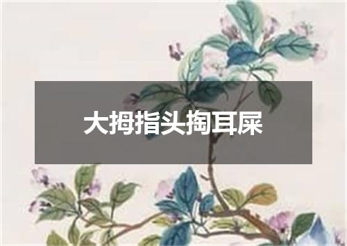 大拇指头掏耳屎