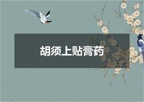 胡须上贴膏药
