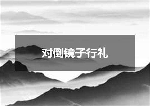 对倒镜子行礼