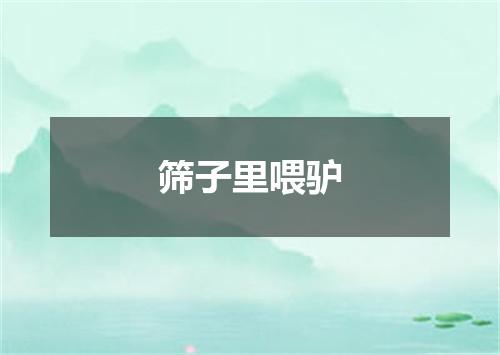 筛子里喂驴