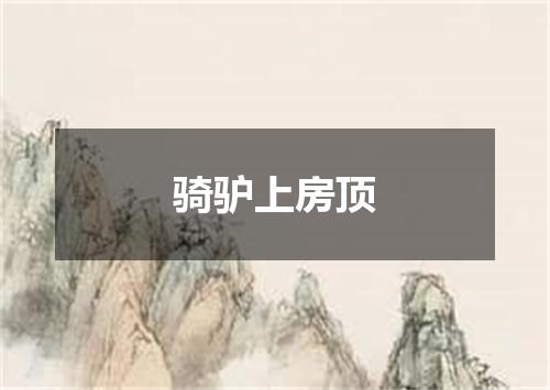 骑驴上房顶