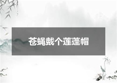 苍蝇戴个莲蓬帽