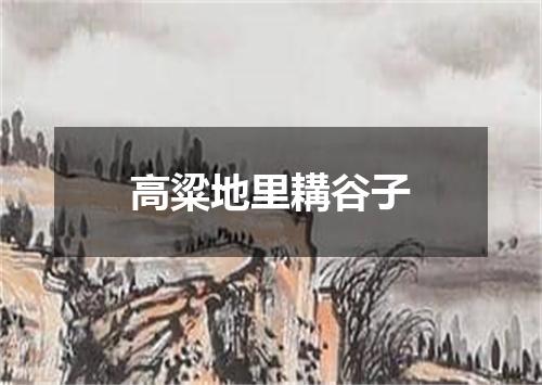 高粱地里耩谷子