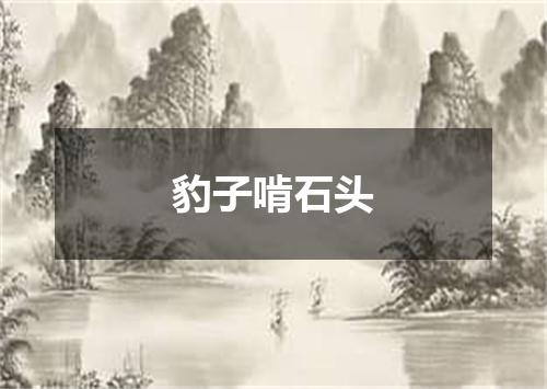 豹子啃石头