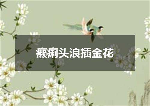癞痢头浪插金花