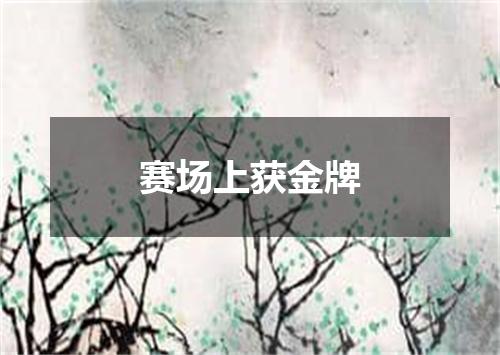 赛场上获金牌