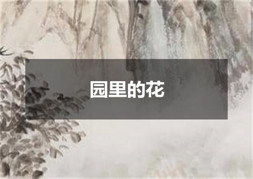 园里的花