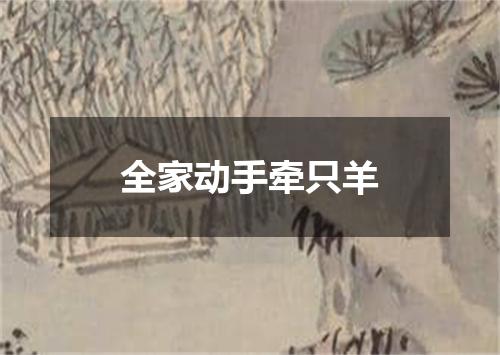 全家动手牵只羊