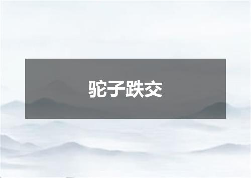 驼子跌交