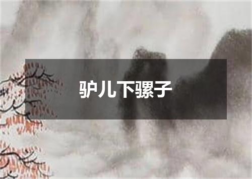 驴儿下骡子