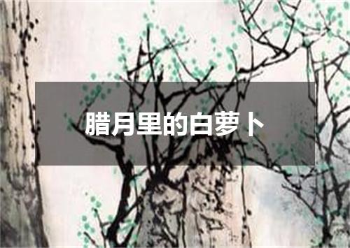 腊月里的白萝卜