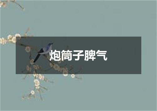 炮筒子脾气